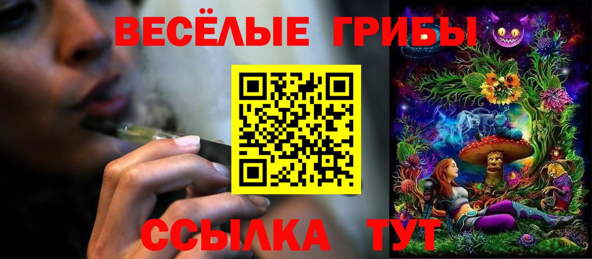 Псилоцибиновые грибы прущие грибы  Псилоцибиновые грибы Magic Shrooms  Качканар  Вход с VPN 